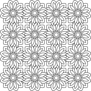 Sixteen Flowers by Felicity David