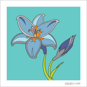 The simplest image in the Colorfy coloring in app